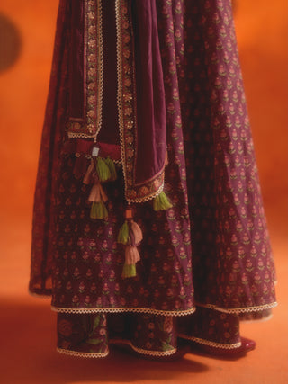 PADMAVATI (Plum Anarkali Set)