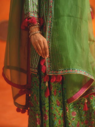 BAHAAR (Light Green Sharara Set)